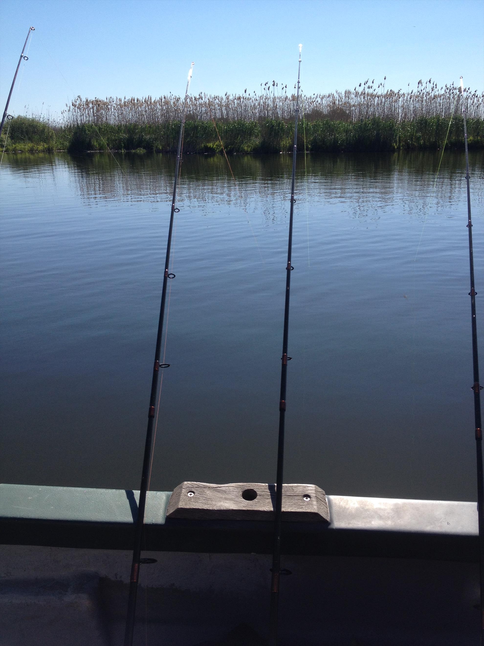 Delta Dunarii - img1131.JPG